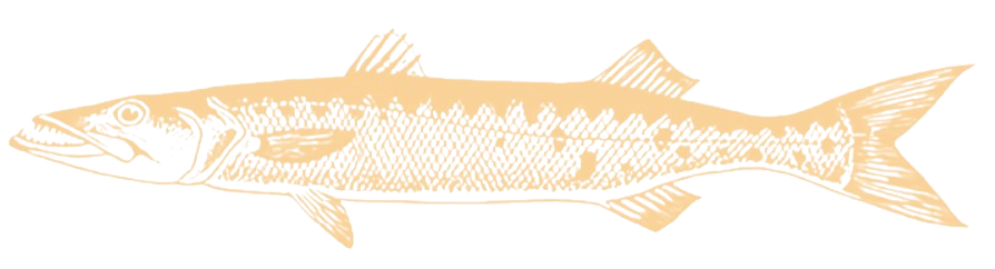 Barracuda Vermouth